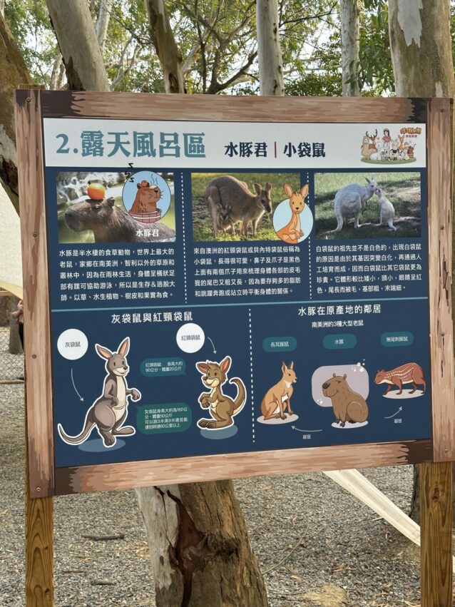 2024嘉義新景點,好玩又好萌的【咩咩上樹萌寵樂園】等你來體驗,最新門票優惠與園區資訊懶人包