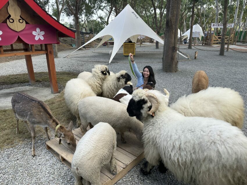 2024嘉義新景點,好玩又好萌的【咩咩上樹萌寵樂園】等你來體驗,最新門票優惠與園區資訊懶人包