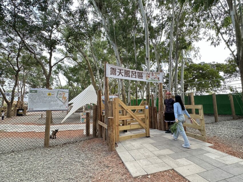 2024嘉義新景點,好玩又好萌的【咩咩上樹萌寵樂園】等你來體驗,最新門票優惠與園區資訊懶人包