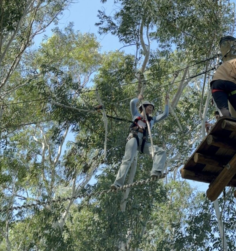 2024嘉義新景點,好玩又好萌的【咩咩上樹萌寵樂園】等你來體驗,最新門票優惠與園區資訊懶人包