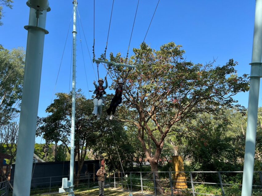 2024嘉義新景點,好玩又好萌的【咩咩上樹萌寵樂園】等你來體驗,最新門票優惠與園區資訊懶人包