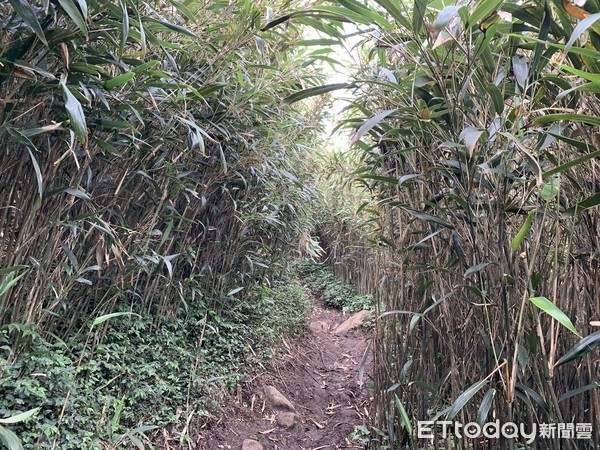 ▲小觀音山,小觀音山主峰。（圖／記者彭懷玉攝）