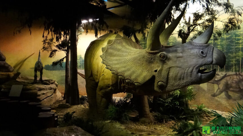 台北市立動物園 台北市立動物園攻略！木柵動物園門票停車美食交通攻略，企鵝無尾熊熊貓水豚等13個必看動物區 3 2024