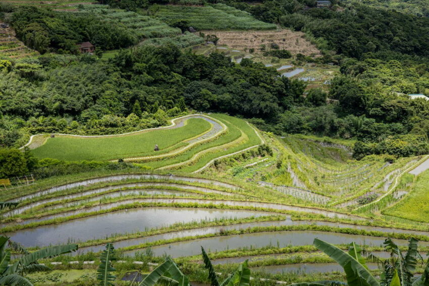 石門嵩山社區的百年梯田、石門秘境