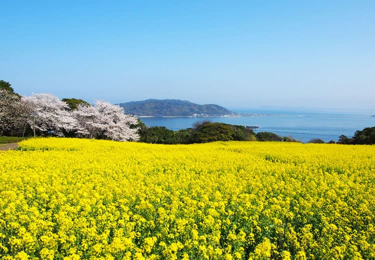 能古島海島公園 福岡近郊景點 福岡景點