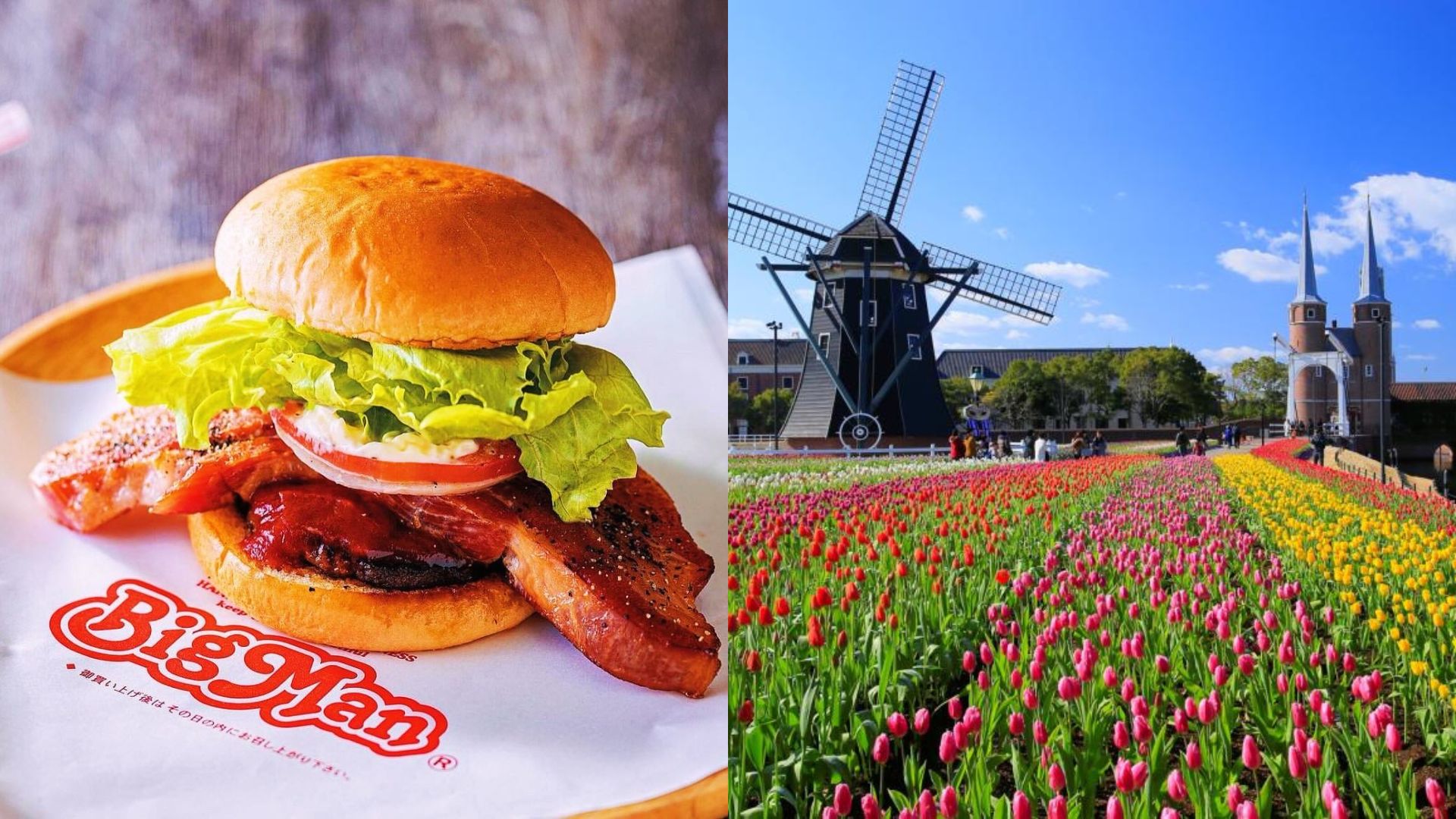 【九州長崎自由行】精選長崎一日遊景點推薦！長崎景點、長崎美食、長崎必買以及交通全攻略