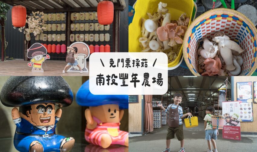 中興新村一日遊 【南投親子景點】埔里豐年農場,免門票採菇、Pizza DIY、自製菇菇生態瓶 2025 埔里豐年農場
