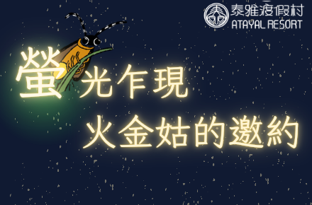南投螢火蟲 【2025南投螢火蟲景點】推薦必訪4大南投賞螢景點，最新南投螢火蟲季活動懶人包 7 2025