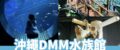 【沖繩DMM水族館】超夯餵食體驗、必玩重點、門票交通，DMM Kariyushi水族館全攻略！