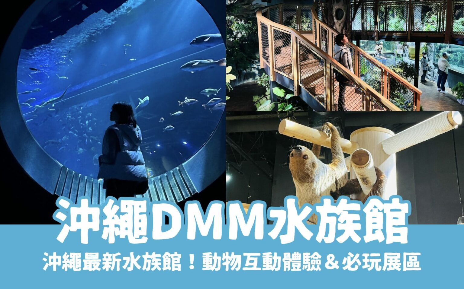 【沖繩DMM水族館】超夯餵食體驗、必玩重點、門票交通,DMM Kariyushi水族館全攻略!