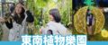 沖繩中部景點【東南植物樂園】熱帶植物與動物的天堂樂園，門票優惠與遊玩攻略懶人包