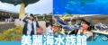 【沖繩美麗海水族館】黑潮之海鯨鯊餵食秀！門票交通＆各區亮點全攻略