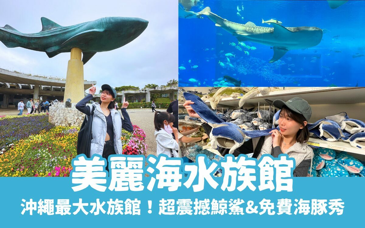 【沖繩美麗海水族館】黑潮之海鯨鯊餵食秀！門票交通＆各區亮點全攻略