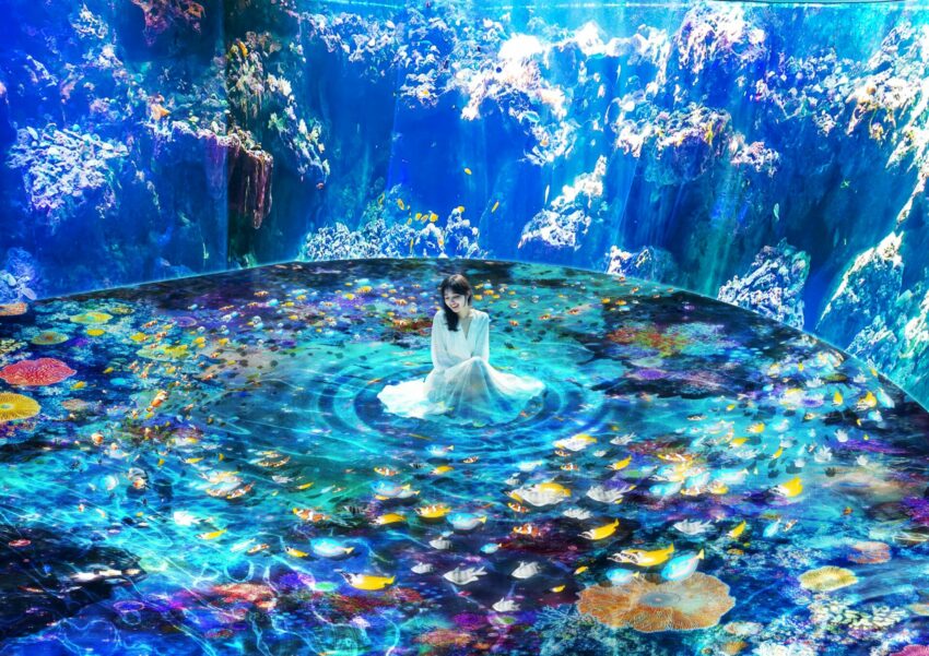 xpark 【2025Xpark水族館攻略】桃園Xpark水族館最新活動！必逛展區/如何購票/美食餐廳/夜宿懶人包 3 2025