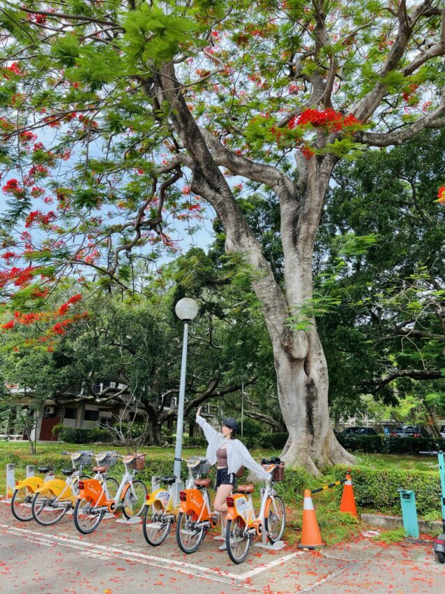 一騎出發吧 東海大學一日遊｜跟著一騎出發吧APP漫遊東海大學，集碳點數換好康！ 8 2025