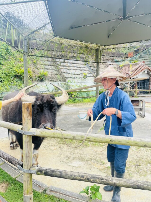 沖繩「琉球村」一日遊，體驗琉球文化，穿上琉服探訪琉球王國全攻略