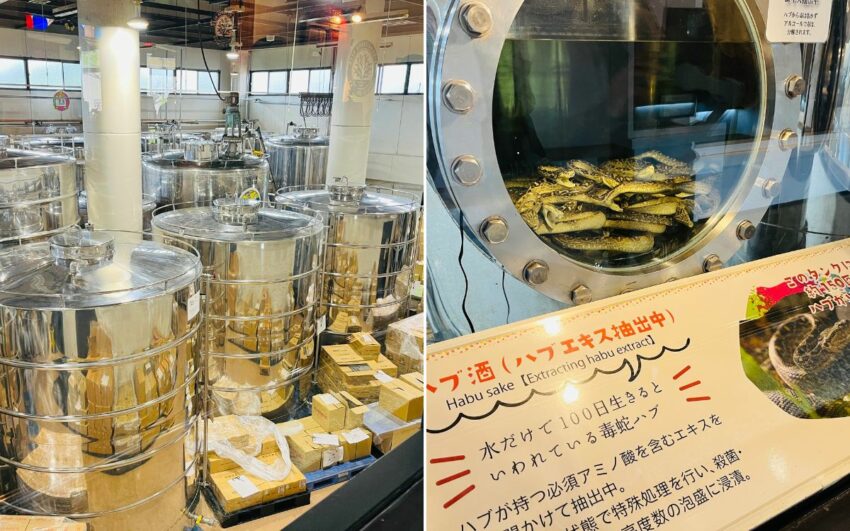【沖繩世界玉泉洞】鐘乳石奇景、必看太鼓秀！玉泉洞門票/手作體驗/交通/美食一次看