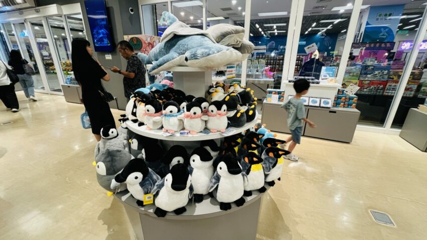 【Xpark水族館】全新活動搶先看！桃園水族館必逛展區/如何購票/美食餐廳/夜宿懶人包