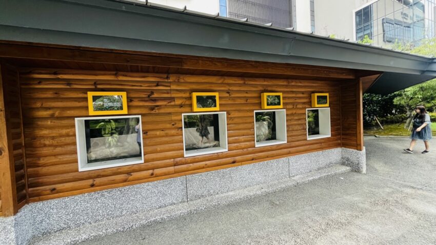 【Xpark水族館】全新活動搶先看！桃園水族館必逛展區/如何購票/美食餐廳/夜宿懶人包