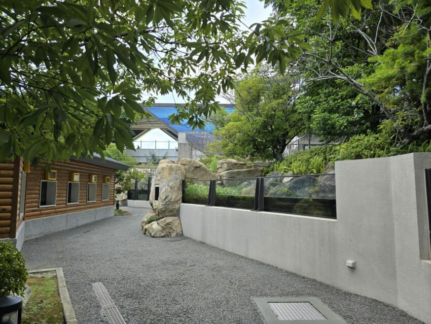 【Xpark水族館】全新活動搶先看！桃園水族館必逛展區/如何購票/美食餐廳/夜宿懶人包