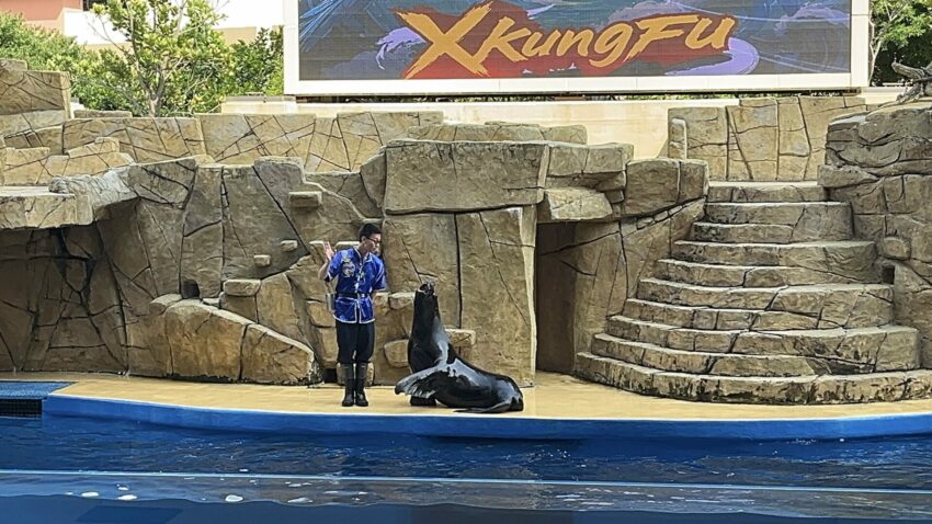 【Xpark水族館】全新活動搶先看！桃園水族館必逛展區/如何購票/美食餐廳/夜宿懶人包