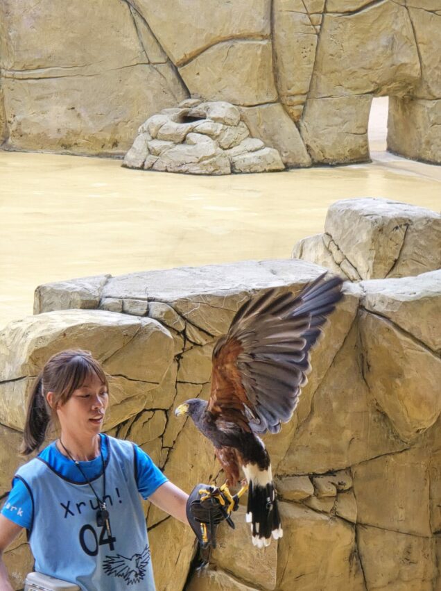 【Xpark水族館】全新活動搶先看！桃園水族館必逛展區/如何購票/美食餐廳/夜宿懶人包