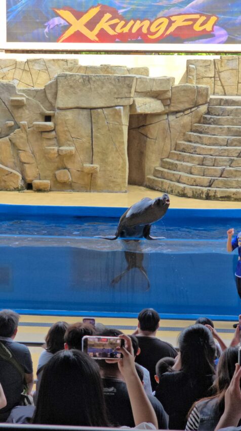 【Xpark水族館】全新活動搶先看！桃園水族館必逛展區/如何購票/美食餐廳/夜宿懶人包