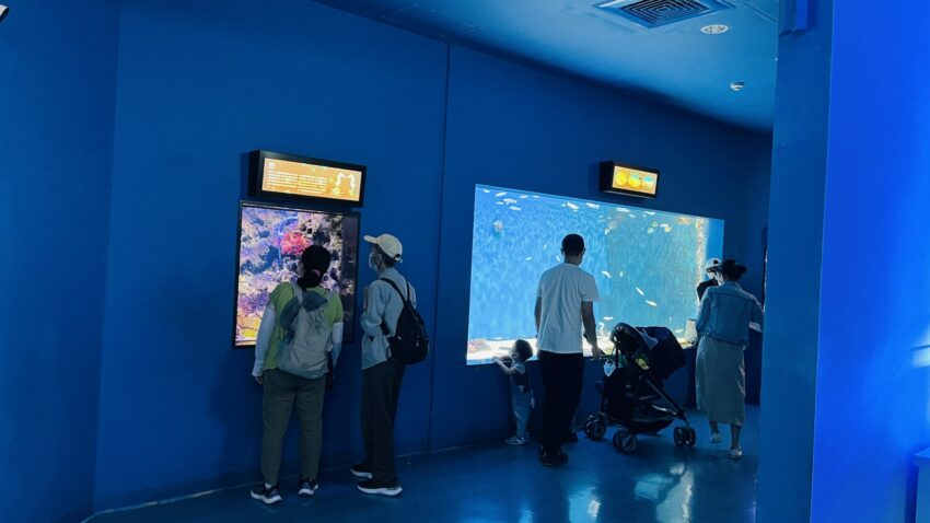 【Xpark水族館】全新活動搶先看！桃園水族館必逛展區/如何購票/美食餐廳/夜宿懶人包