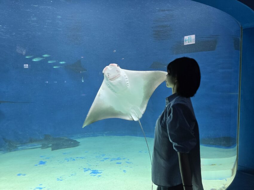 【Xpark水族館】全新活動搶先看！桃園水族館必逛展區/如何購票/美食餐廳/夜宿懶人包