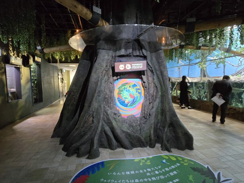 【Xpark水族館】全新活動搶先看！桃園水族館必逛展區/如何購票/美食餐廳/夜宿懶人包