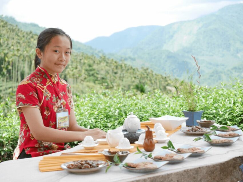 阿里山黃頭鷺季| 賞鳥時間、地點,周邊美食、景點懶人包 阿里山黃頭鷺季| 賞鳥時間、地點,周邊美食、景點懶人包