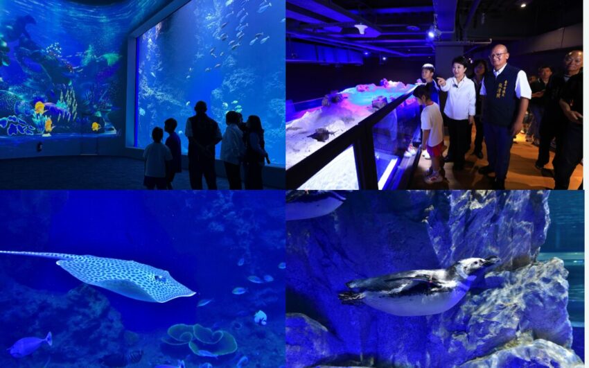 水族館 【2025台灣水族館】超人氣水族館不只有Xpark！從北到南、從東到離島，來趟水族館一日遊 6 2025