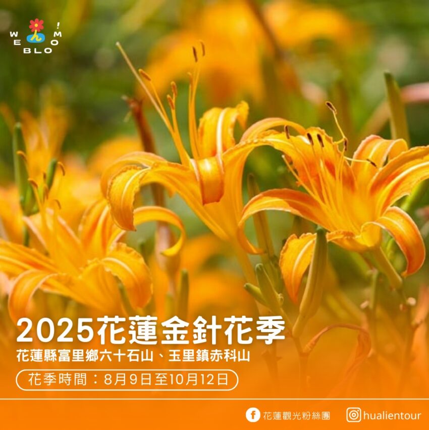 【2025花蓮景點推薦】精選30+花蓮景點！花蓮一日遊這樣玩，輕鬆安排花蓮旅遊 1 2025