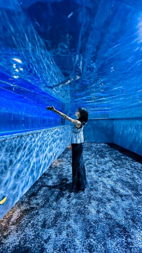 【台中海洋館】搶先開箱！8折門票優惠、各樓層展區介紹、交通資訊搶先看！