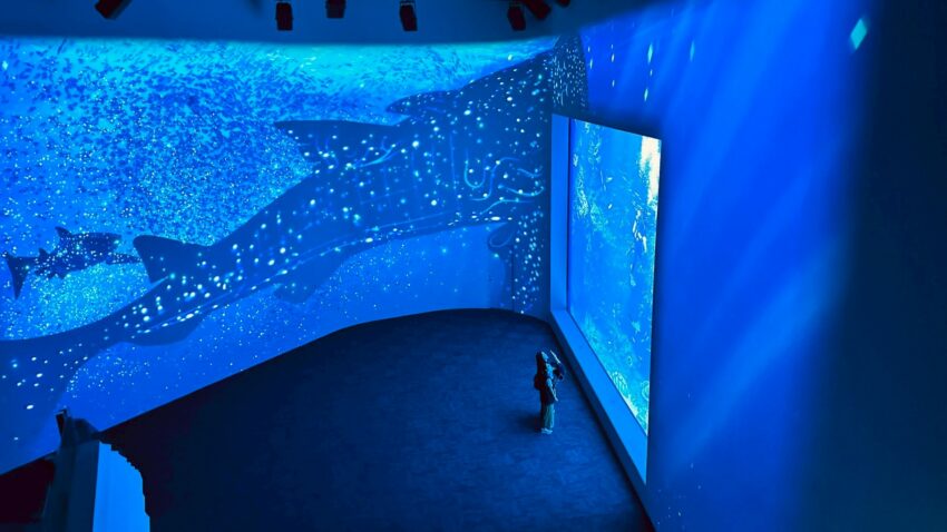 【台中海洋館】搶先開箱！8大展區亮點、8折門票優惠、交通資訊搶先看！