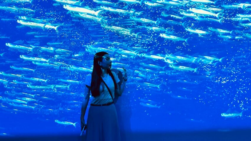 【台中海洋館】搶先開箱！8折門票優惠、各樓層展區介紹、交通資訊搶先看！ 6 2025