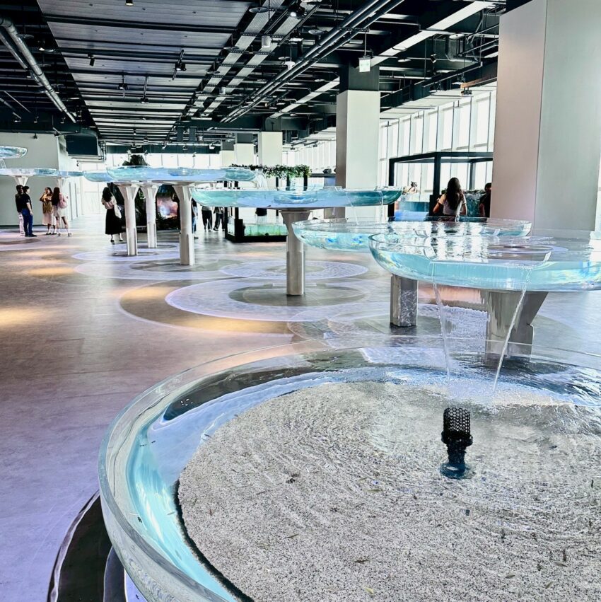 【台中海洋館】搶先開箱！8折門票優惠、各樓層展區介紹、交通資訊搶先看！