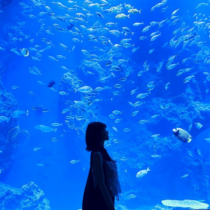 【台中海洋館】搶先開箱！8大展區亮點、8折門票優惠、交通資訊搶先看！