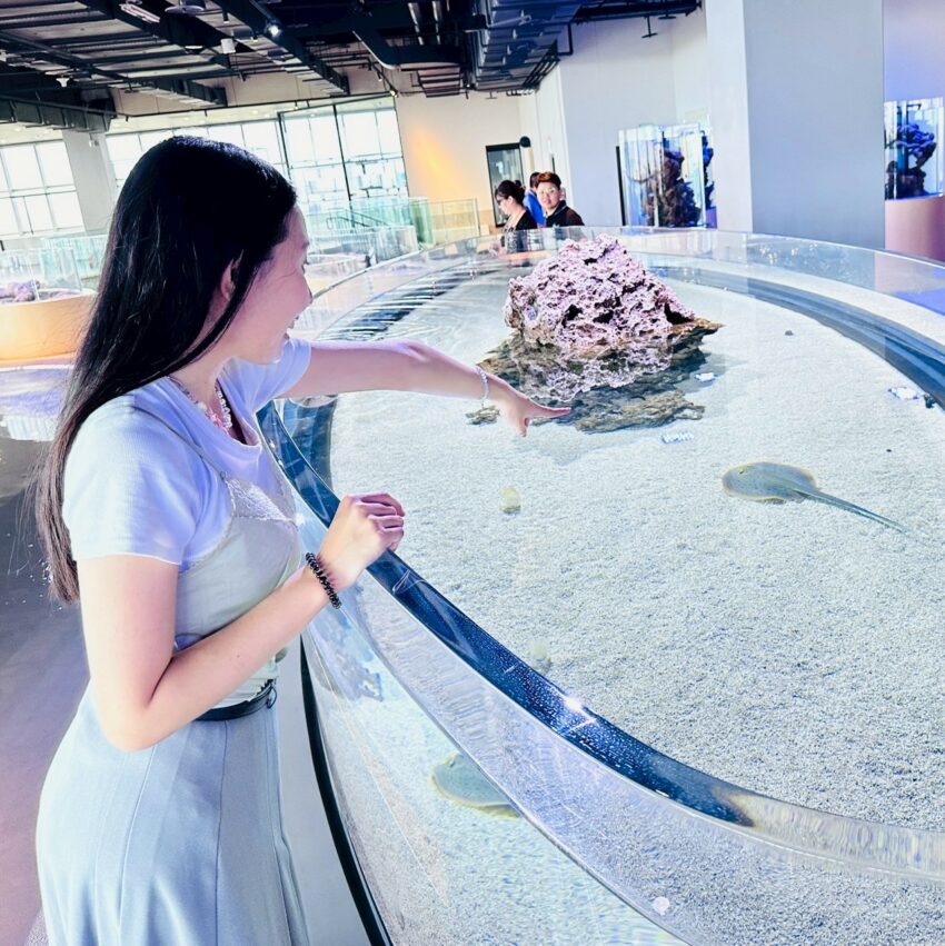 【台中海洋館】搶先開箱！8折門票優惠、各樓層展區介紹、交通資訊搶先看！