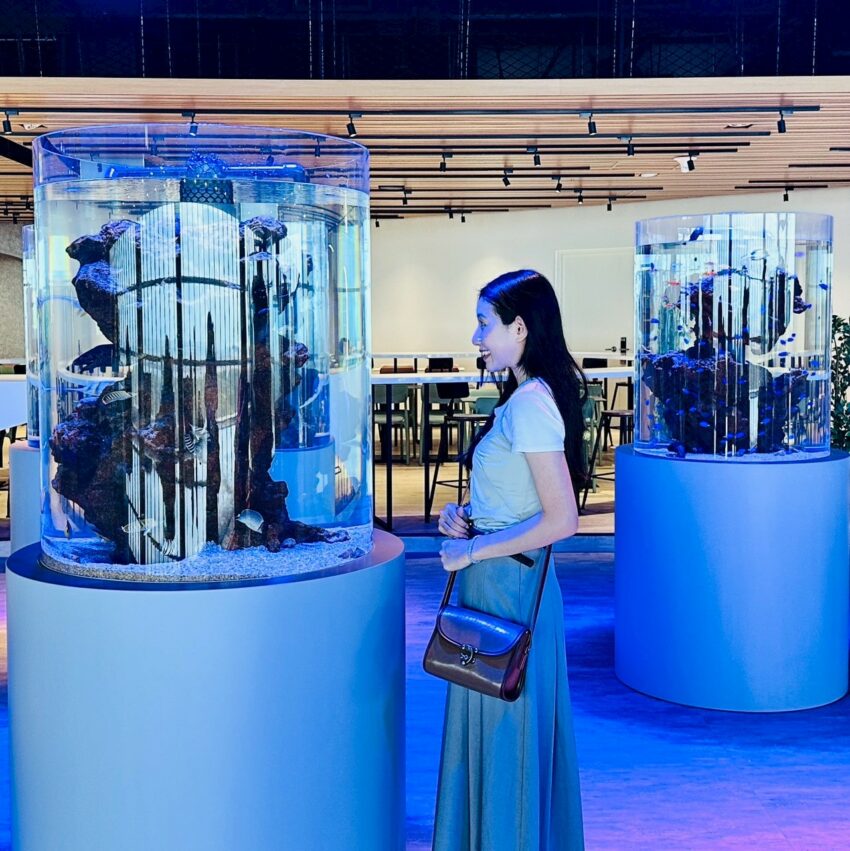 【台中海洋館】搶先開箱！8折門票優惠、各樓層展區介紹、交通資訊搶先看！