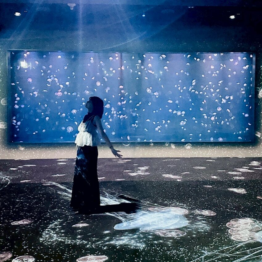 【台中海洋館】搶先開箱！8大展區亮點、8折門票優惠、交通資訊搶先看！