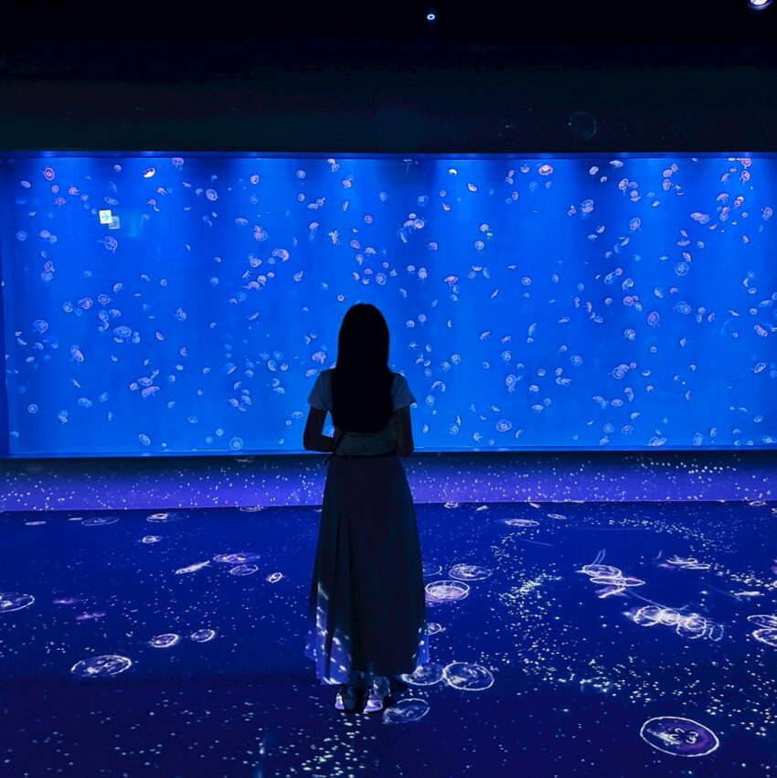 【台中海洋館】搶先開箱！8折門票優惠、各樓層展區介紹、交通資訊搶先看！