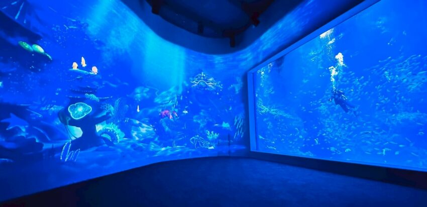 【台中海洋館】搶先開箱！8折門票優惠、各樓層展區介紹、交通資訊搶先看！