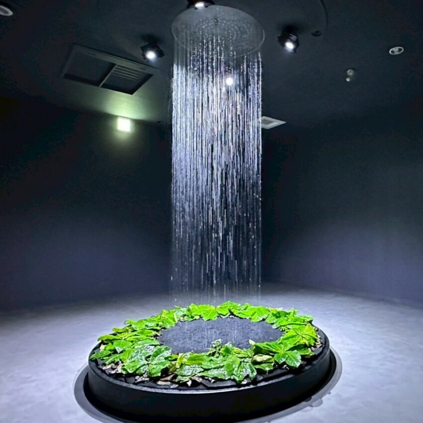 【台中海洋館】搶先開箱！8折門票優惠、各樓層展區介紹、交通資訊搶先看！