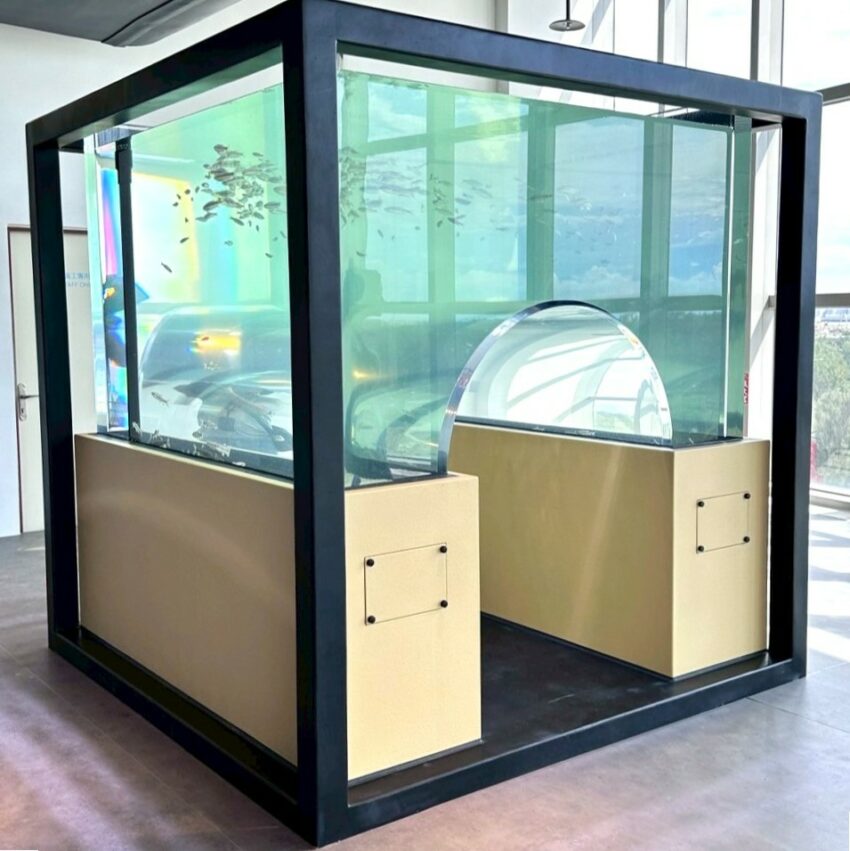【台中海洋館】搶先開箱！8折門票優惠、各樓層展區介紹、交通資訊搶先看！