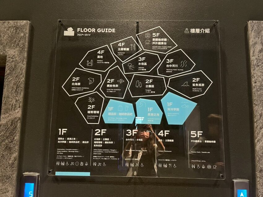 【台中海洋館】搶先開箱！8折門票優惠、各樓層展區介紹、交通資訊搶先看！