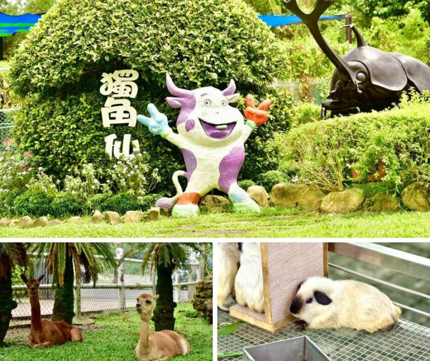 嘉義親子景點 2025嘉義親子景點｜超適合遛小孩的玩樂好去處，故宮南院溜滑梯、咩咩上樹療癒動物、三隻小豬觀光農場 3 2025
