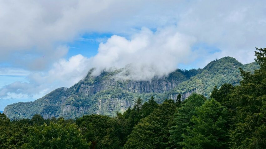 【阿里山新八景】神木遺跡、塔山奇岩、神怡流瀑，阿里山必訪景點推薦！
