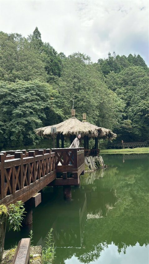 阿里山接駁巴士|郵輪式列車玩法,不開車也能暢玩阿里山! 阿里山接駁巴士|郵輪式列車玩法,不開車也能暢玩阿里山!