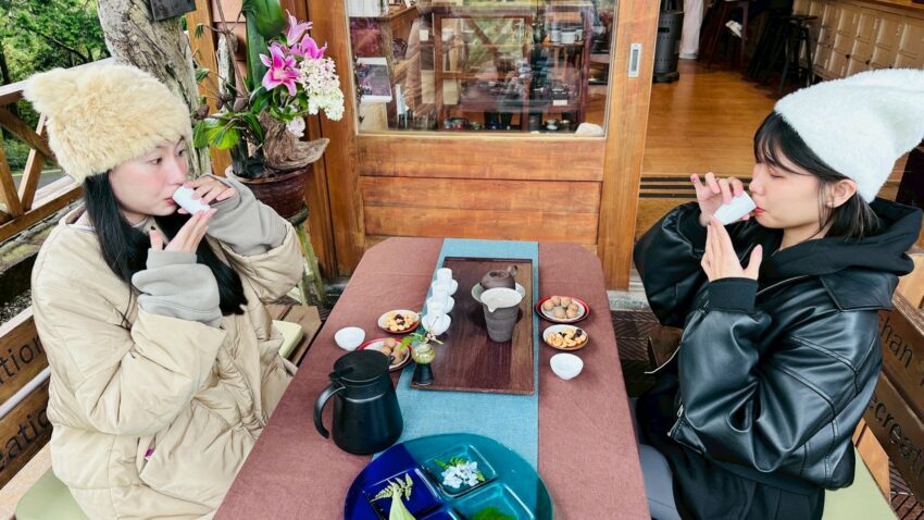 阿里山接駁巴士|郵輪式列車玩法,不開車也能暢玩阿里山! 阿里山接駁巴士|郵輪式列車玩法,不開車也能暢玩阿里山!